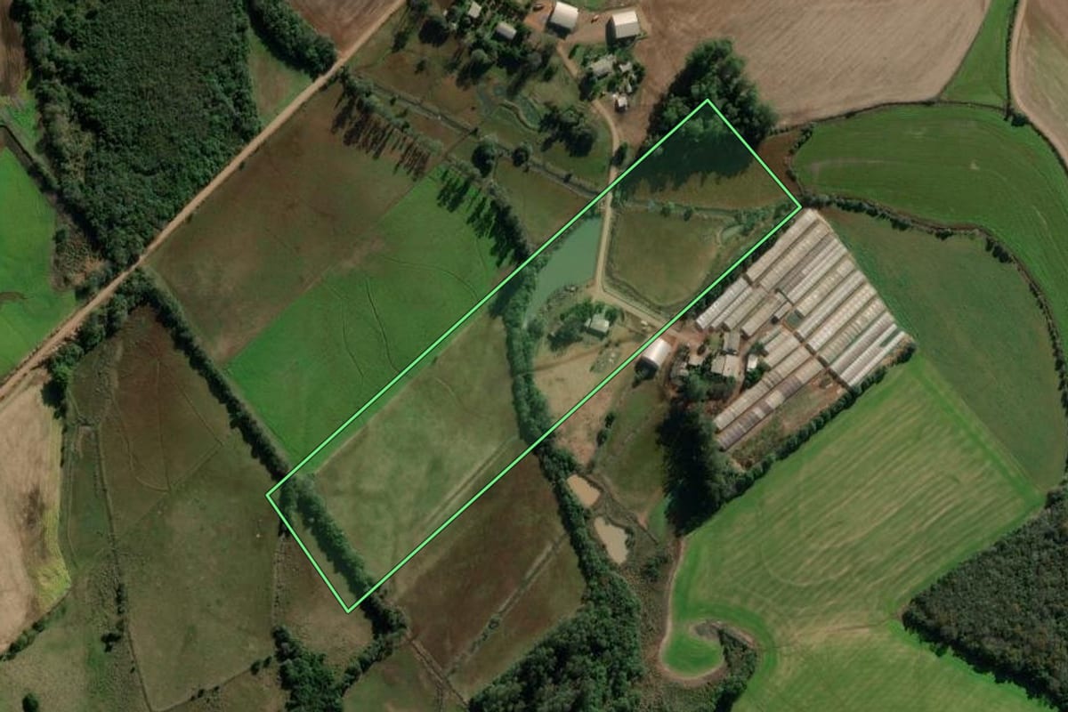 Imagem de satélite do imóvel rural em Pejuçara (RS), com o contorno declarado no CAR desenhado por cima.
