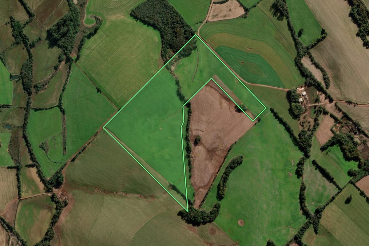 Imagem de satélite do imóvel rural em Pejuçara (RS), com o contorno declarado no CAR desenhado por cima.