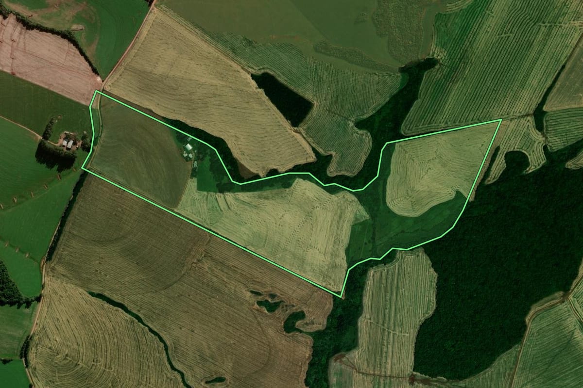Imagem de satélite do imóvel rural em Pejuçara (RS), com o contorno declarado no CAR desenhado por cima.