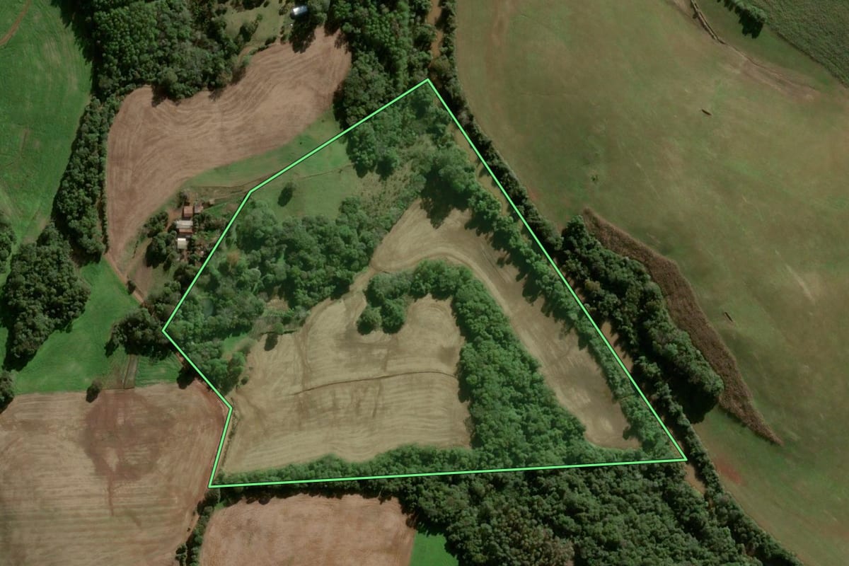 Imagem de satélite do imóvel rural em Pejuçara (RS), com o contorno declarado no CAR desenhado por cima.