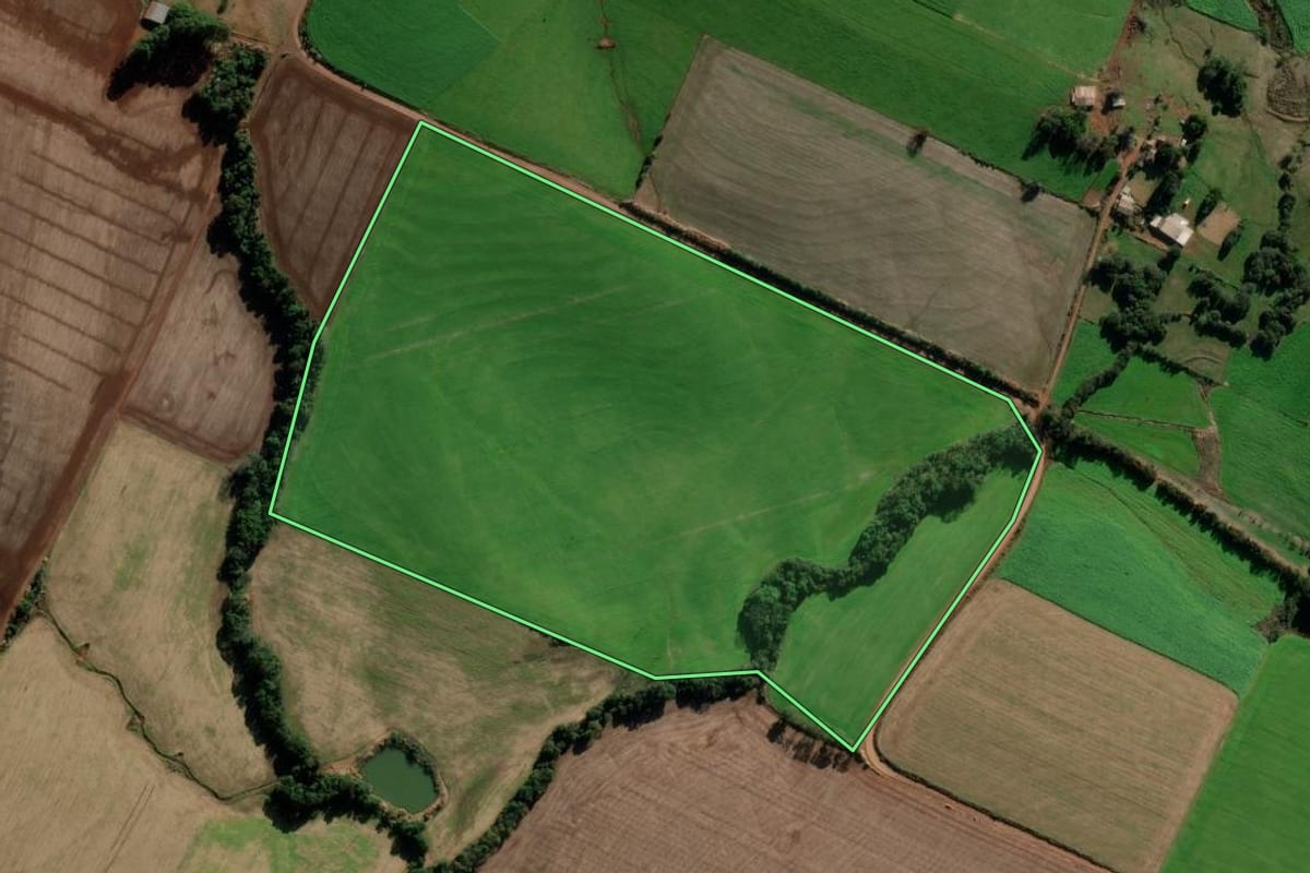Imagem de satélite do imóvel rural em Pejuçara (RS), com o contorno declarado no CAR desenhado por cima.