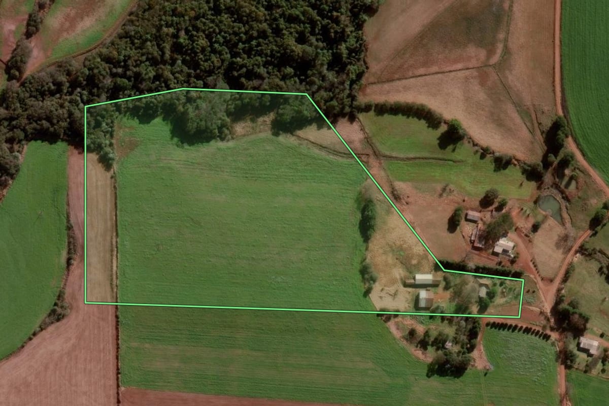 Imagem de satélite do imóvel rural em Pejuçara (RS), com o contorno declarado no CAR desenhado por cima.
