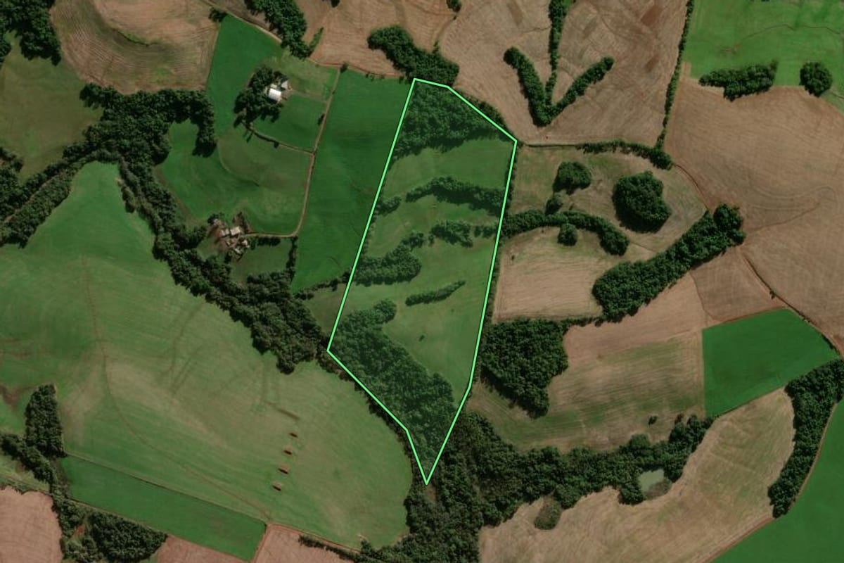 Imagem de satélite do imóvel rural em Pejuçara (RS), com o contorno declarado no CAR desenhado por cima.