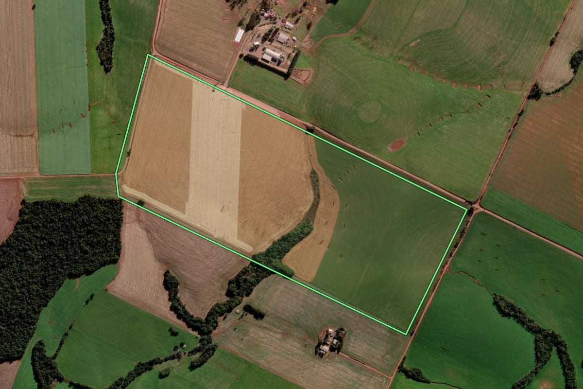 Imagem de satélite do imóvel rural em Pejuçara (RS), com o contorno declarado no CAR desenhado por cima.