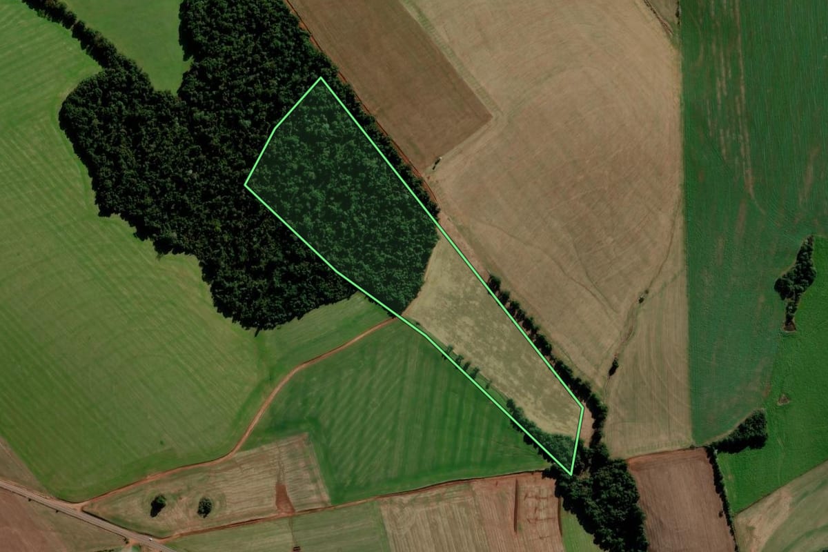 Imagem de satélite do imóvel rural em Pejuçara (RS), com o contorno declarado no CAR desenhado por cima.