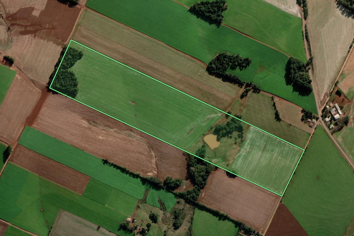 Imagem de satélite do imóvel rural em Pejuçara (RS), com o contorno declarado no CAR desenhado por cima.