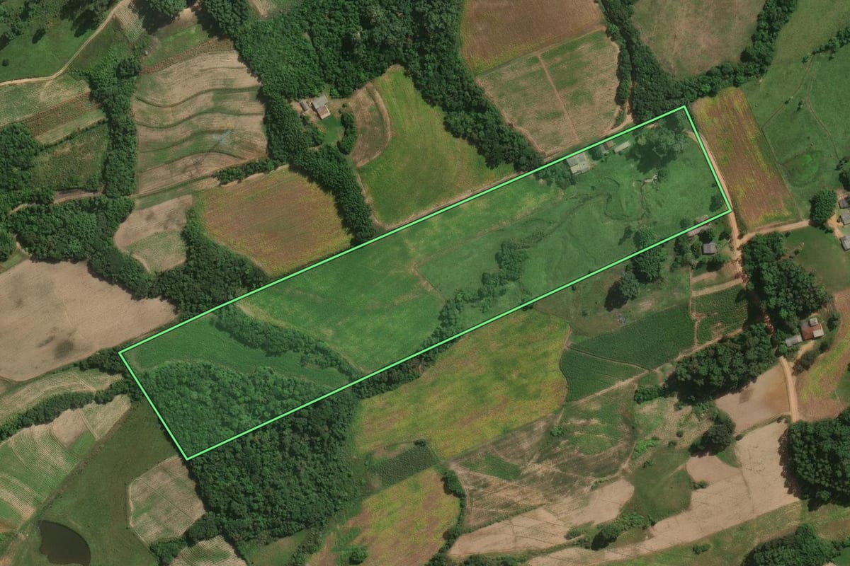 Imagem de satélite do imóvel rural em Pelotas (RS), com o contorno declarado no CAR desenhado por cima.