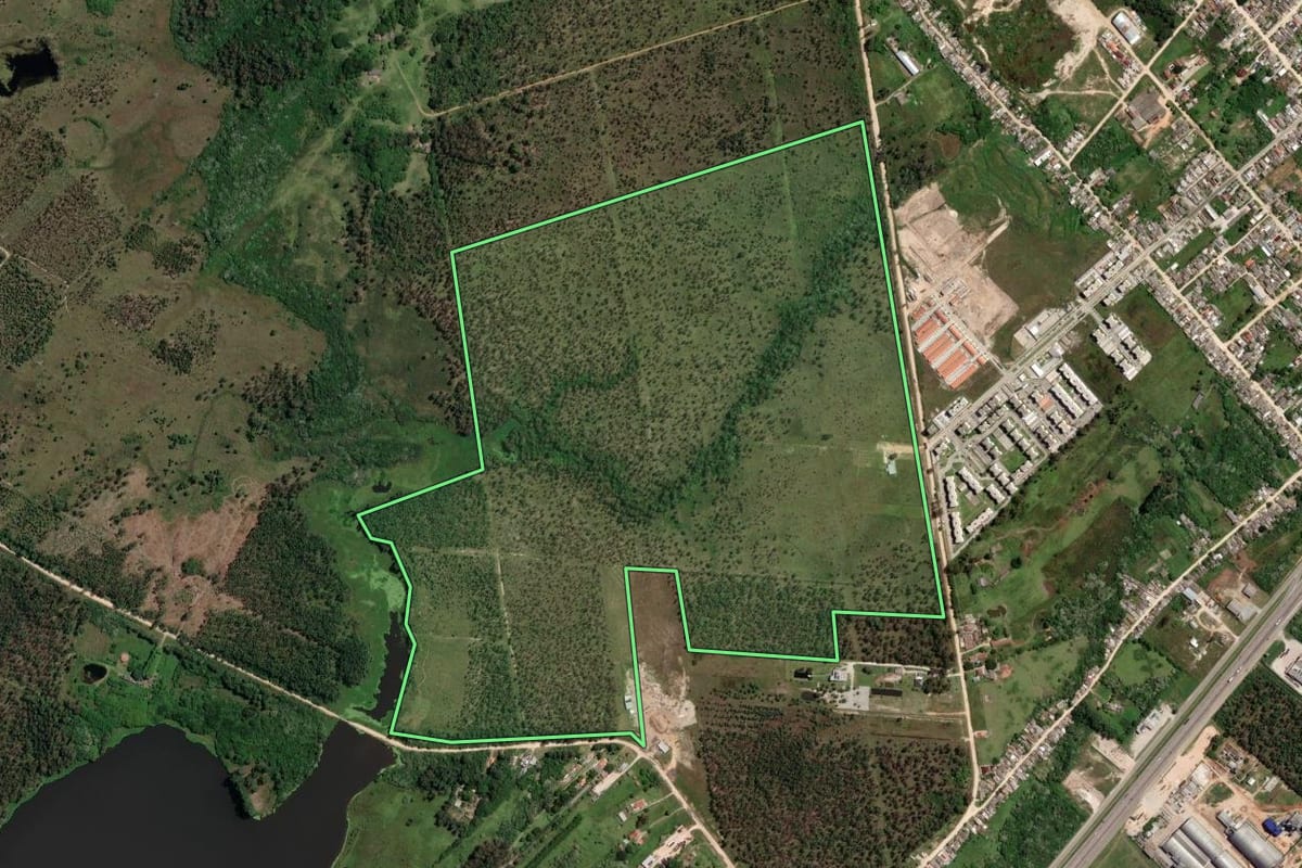 Imagem de satélite do imóvel rural em Pelotas (RS), com o contorno declarado no CAR desenhado por cima.