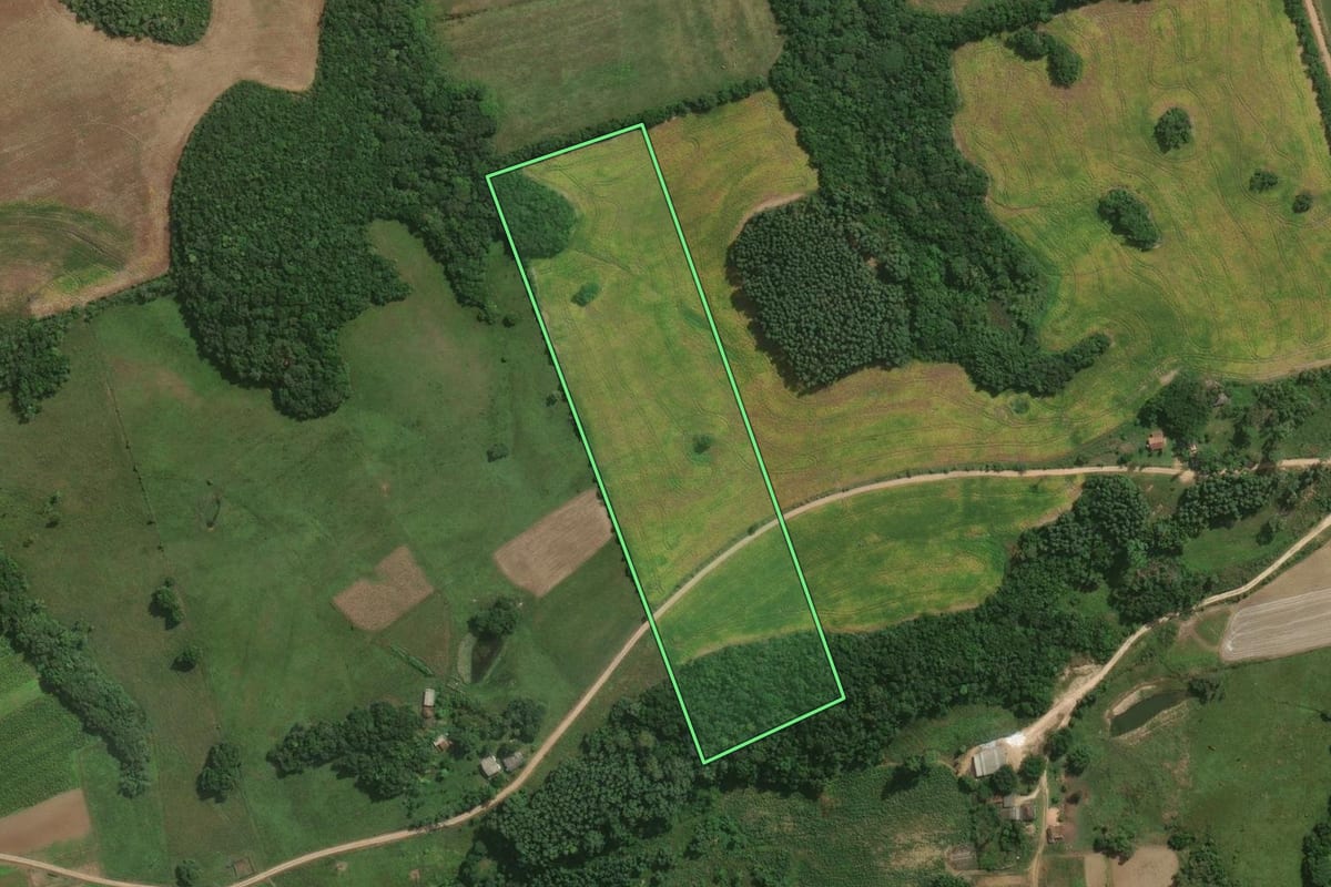 Imagem de satélite do imóvel rural em Pelotas (RS), com o contorno declarado no CAR desenhado por cima.