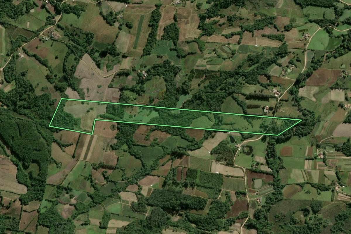 Imagem de satélite do imóvel rural em Pelotas (RS), com o contorno declarado no CAR desenhado por cima.