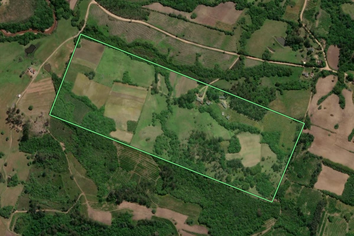 Imagem de satélite do imóvel rural em Pelotas (RS), com o contorno declarado no CAR desenhado por cima.