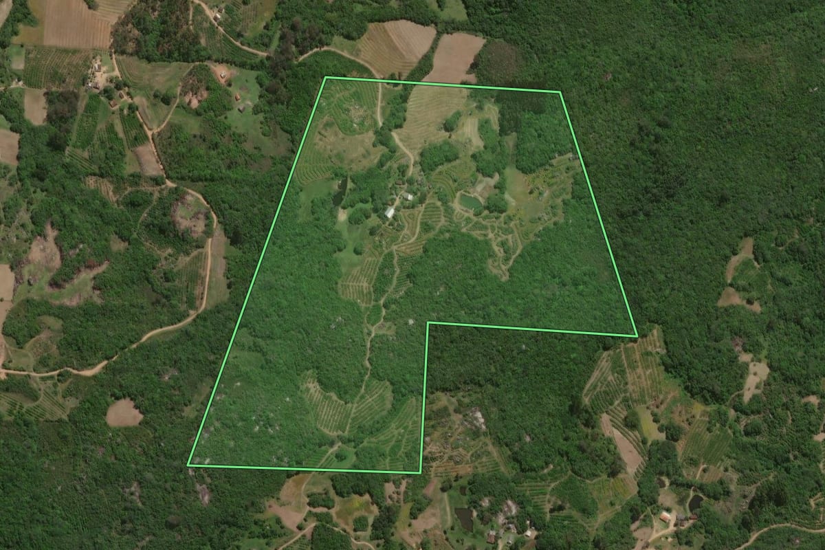 Imagem de satélite do imóvel rural em Pelotas (RS), com o contorno declarado no CAR desenhado por cima.