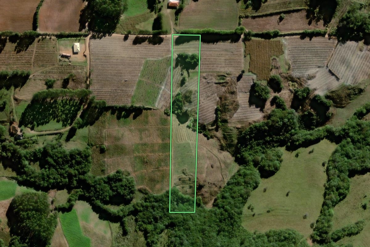 Imagem de satélite do imóvel rural em Pelotas (RS), com o contorno declarado no CAR desenhado por cima.