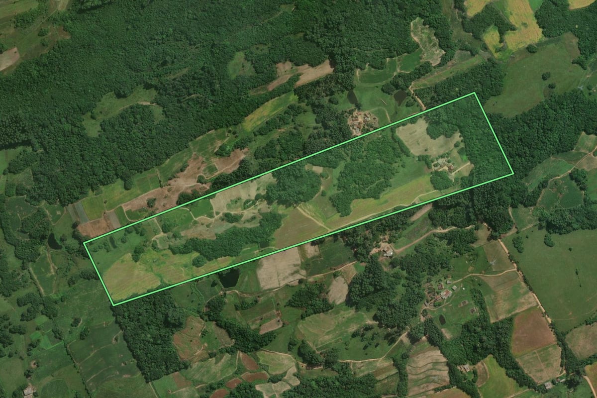 Imagem de satélite do imóvel rural em Pelotas (RS), com o contorno declarado no CAR desenhado por cima.