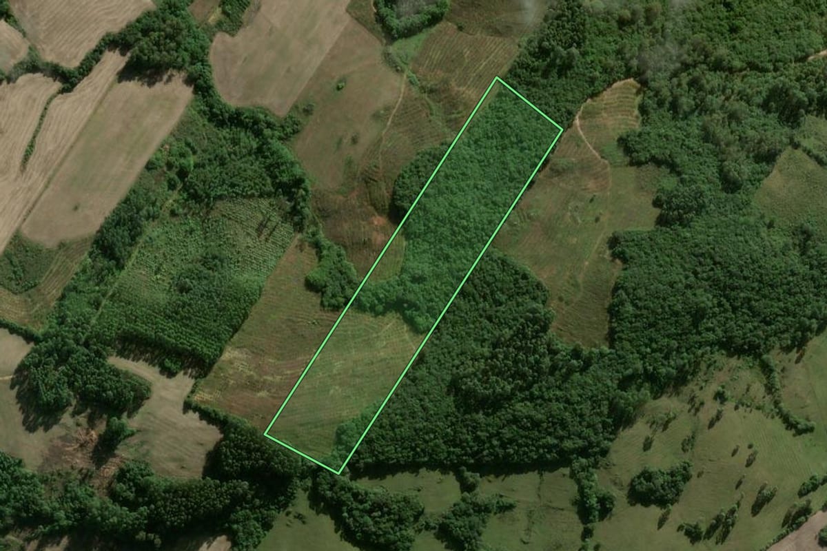 Imagem de satélite do imóvel rural em Pelotas (RS), com o contorno declarado no CAR desenhado por cima.