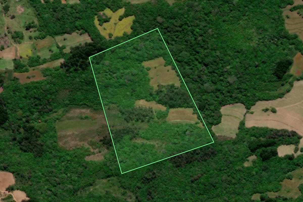 Imagem de satélite do imóvel rural em Pelotas (RS), com o contorno declarado no CAR desenhado por cima.