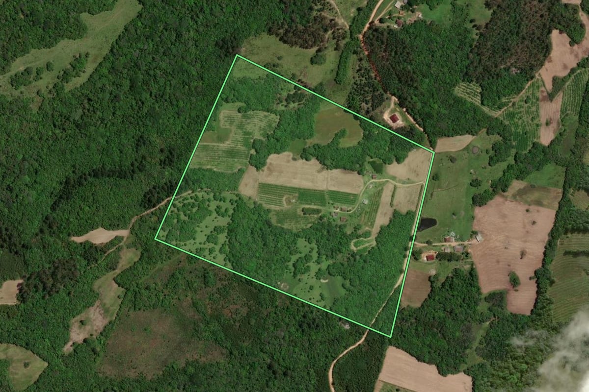 Imagem de satélite do imóvel rural em Pelotas (RS), com o contorno declarado no CAR desenhado por cima.