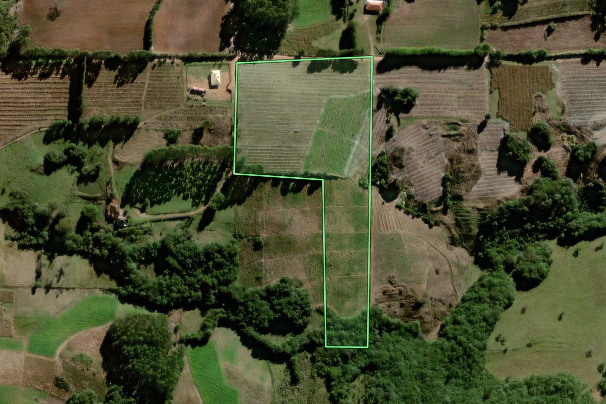 Imagem de satélite do imóvel rural em Pelotas (RS), com o contorno declarado no CAR desenhado por cima.