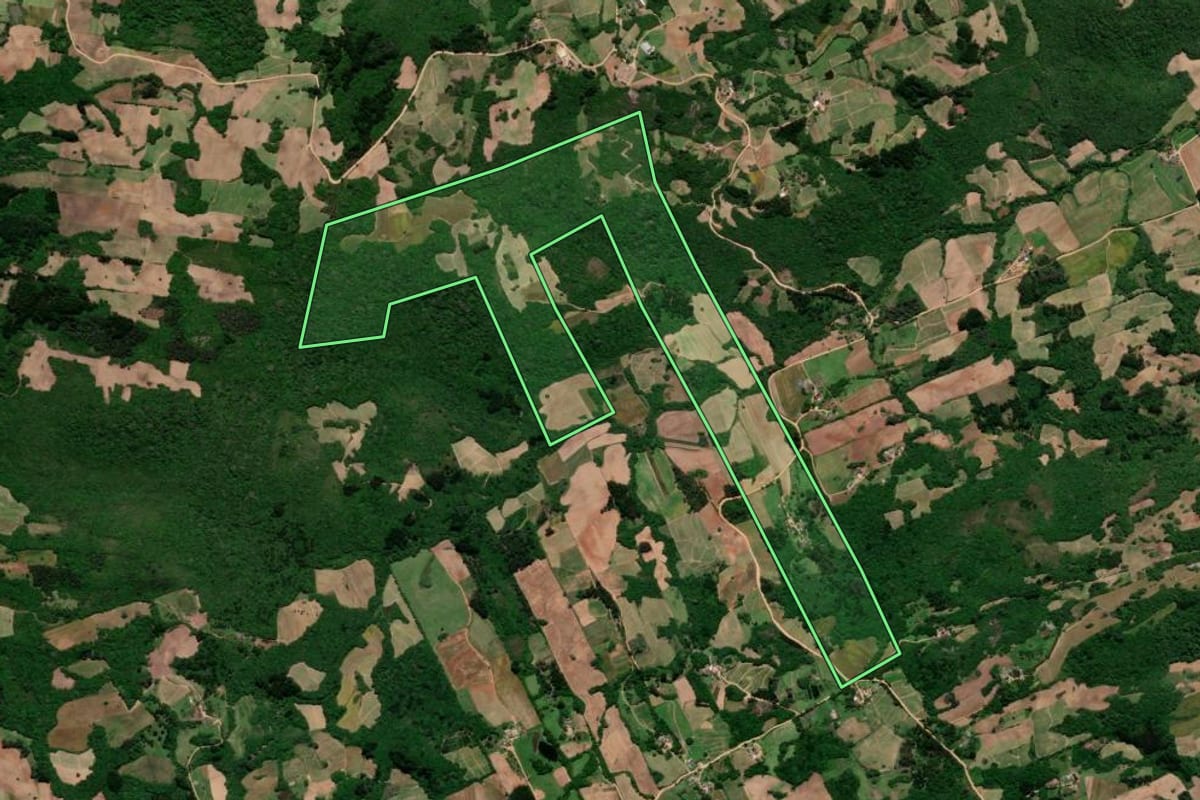 Imagem de satélite do imóvel rural em Pelotas (RS), com o contorno declarado no CAR desenhado por cima.