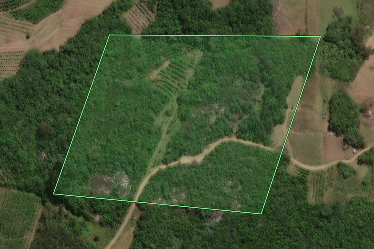 Imagem de satélite do imóvel rural em Pelotas (RS), com o contorno declarado no CAR desenhado por cima.