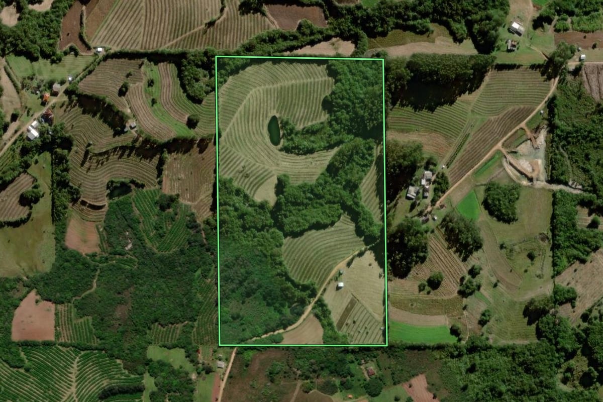 Imagem de satélite do imóvel rural em Pelotas (RS), com o contorno declarado no CAR desenhado por cima.