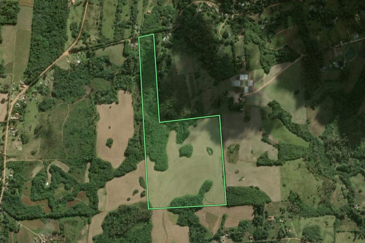 Imagem de satélite do imóvel rural em Pelotas (RS), com o contorno declarado no CAR desenhado por cima.