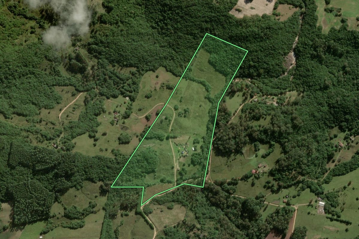 Imagem de satélite do imóvel rural em Pelotas (RS), com o contorno declarado no CAR desenhado por cima.