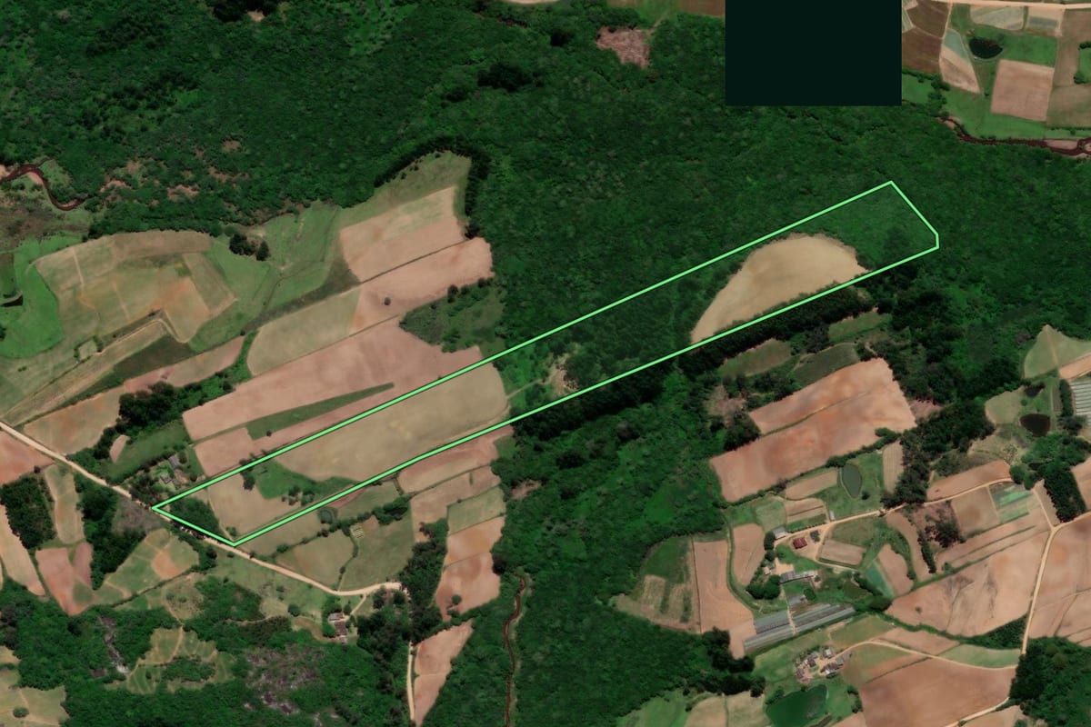 Imagem de satélite do imóvel rural em Pelotas (RS), com o contorno declarado no CAR desenhado por cima.