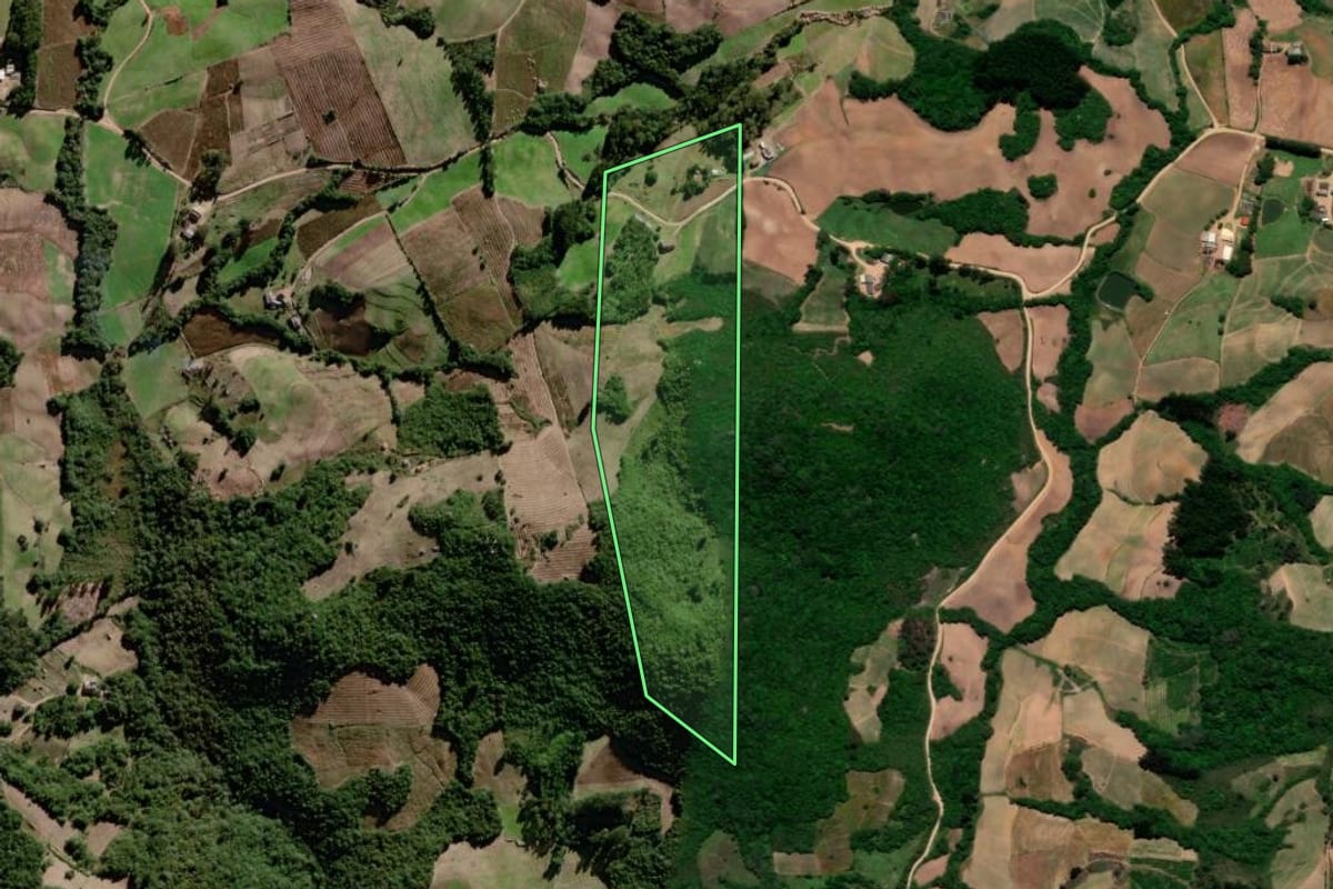 Imagem de satélite do imóvel rural em Pelotas (RS), com o contorno declarado no CAR desenhado por cima.