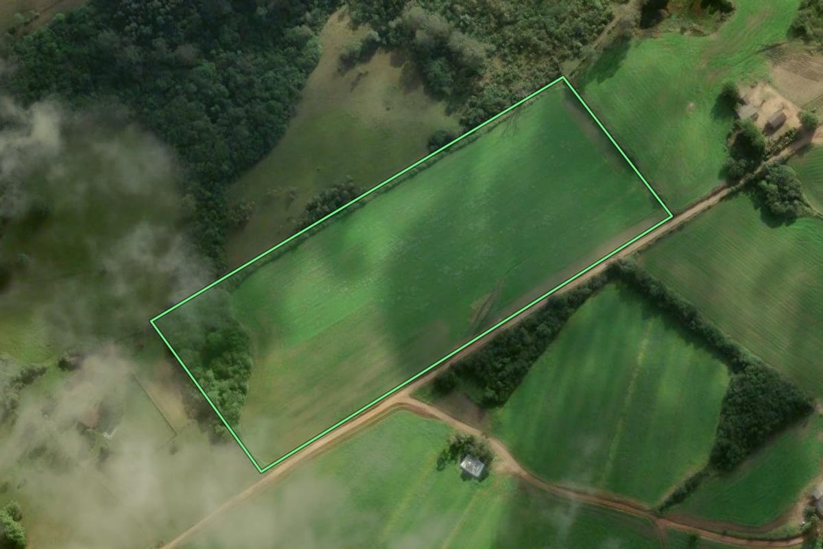 Imagem de satélite do imóvel rural em Pelotas (RS), com o contorno declarado no CAR desenhado por cima.