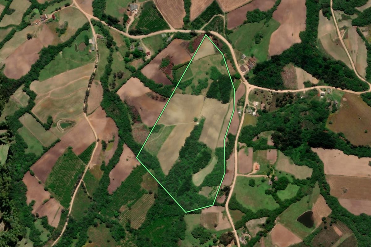 Imagem de satélite do imóvel rural em Pelotas (RS), com o contorno declarado no CAR desenhado por cima.