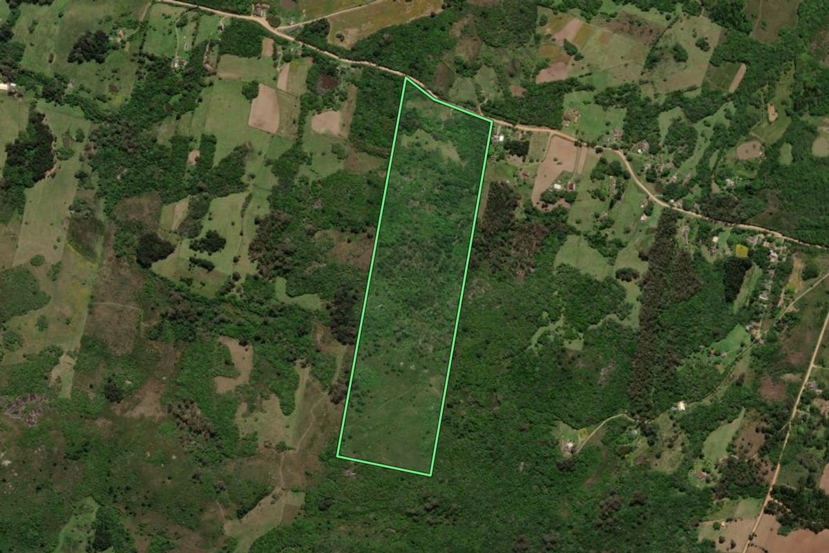 Imagem de satélite do imóvel rural em Pelotas (RS), com o contorno declarado no CAR desenhado por cima.