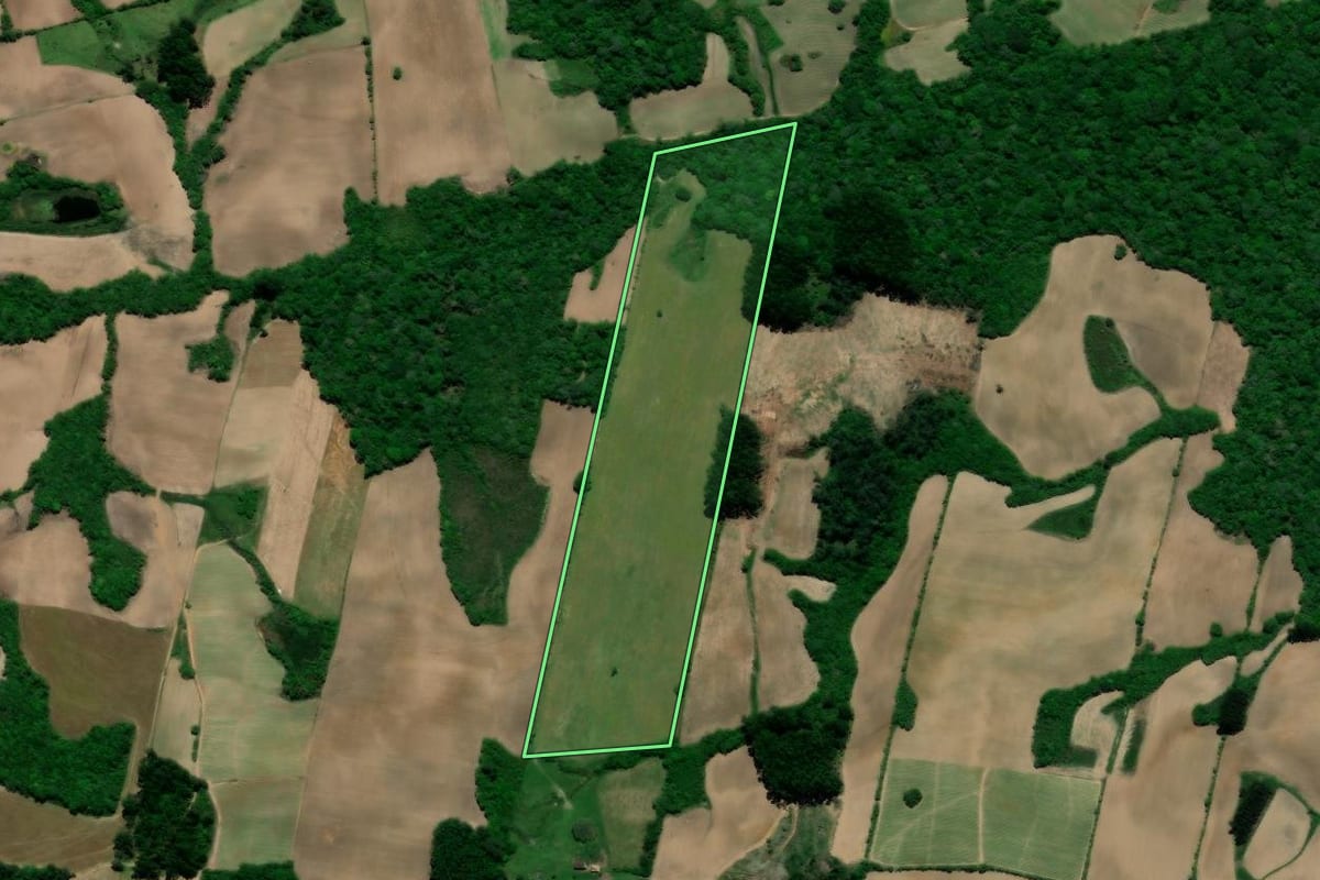 Imagem de satélite do imóvel rural em Pelotas (RS), com o contorno declarado no CAR desenhado por cima.