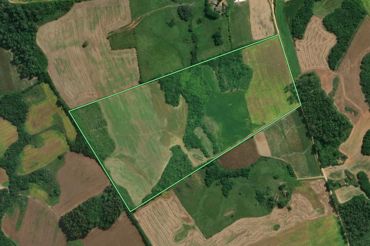 Imagem de satélite do imóvel rural em Pelotas (RS), com o contorno declarado no CAR desenhado por cima.