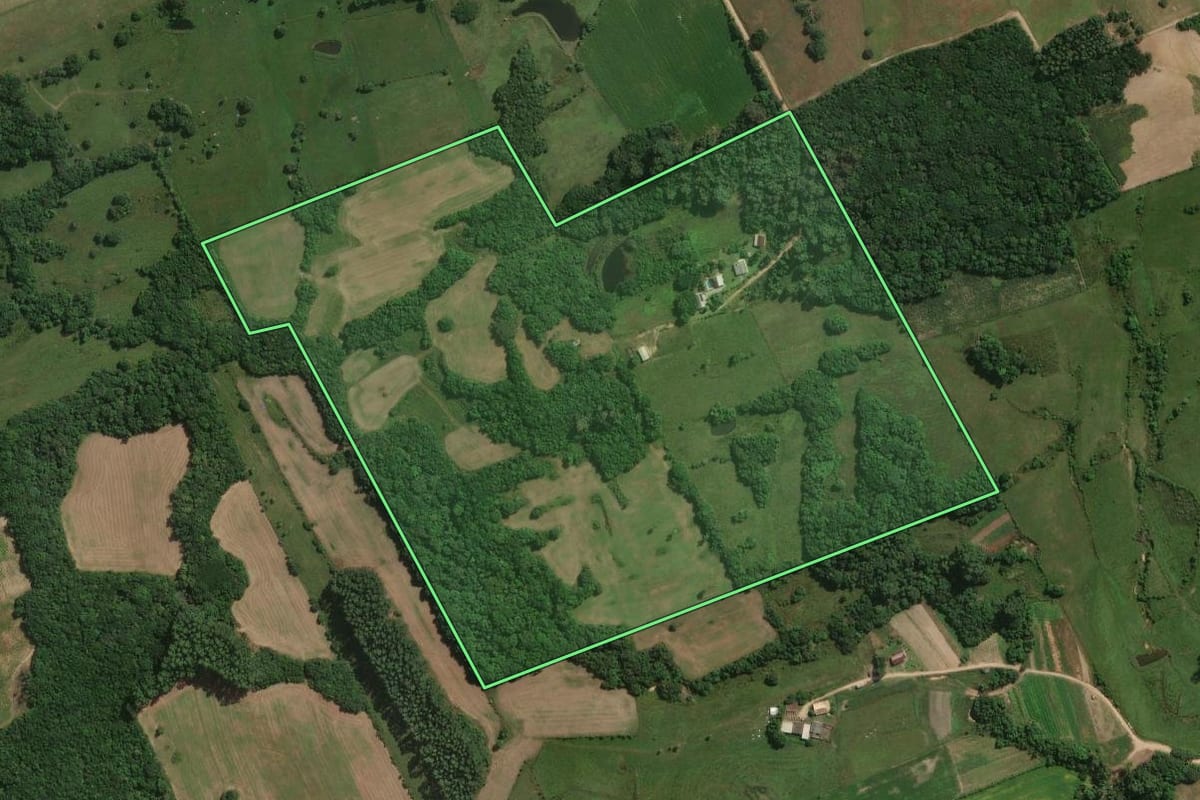Imagem de satélite do imóvel rural em Pelotas (RS), com o contorno declarado no CAR desenhado por cima.