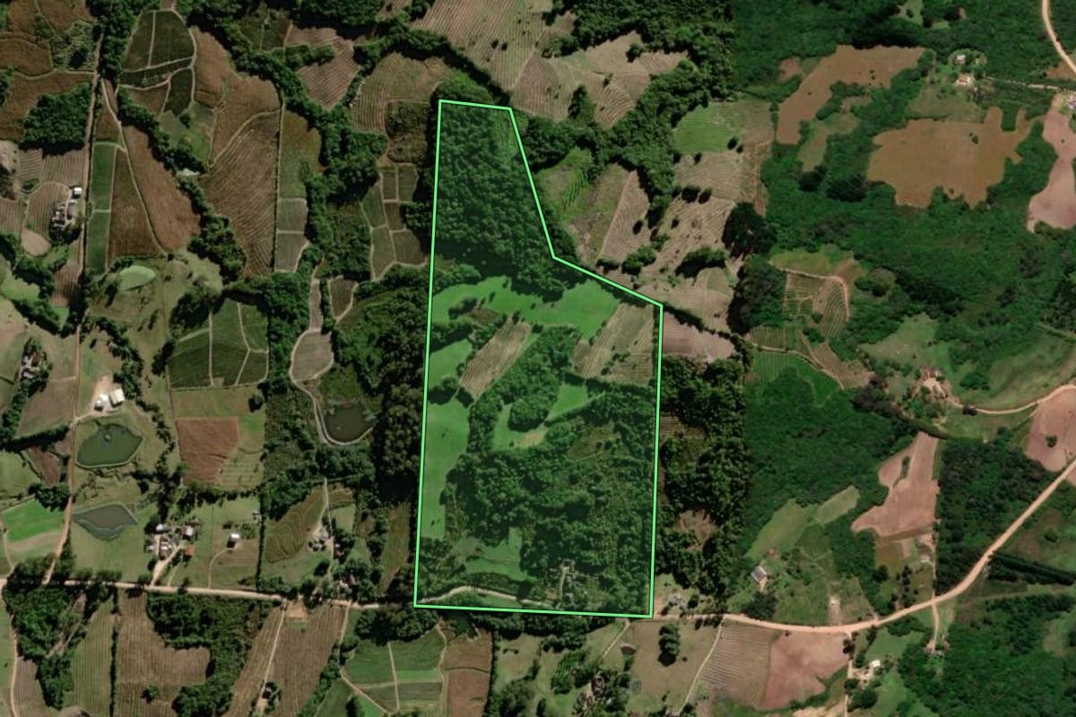 Imagem de satélite do imóvel rural em Pelotas (RS), com o contorno declarado no CAR desenhado por cima.