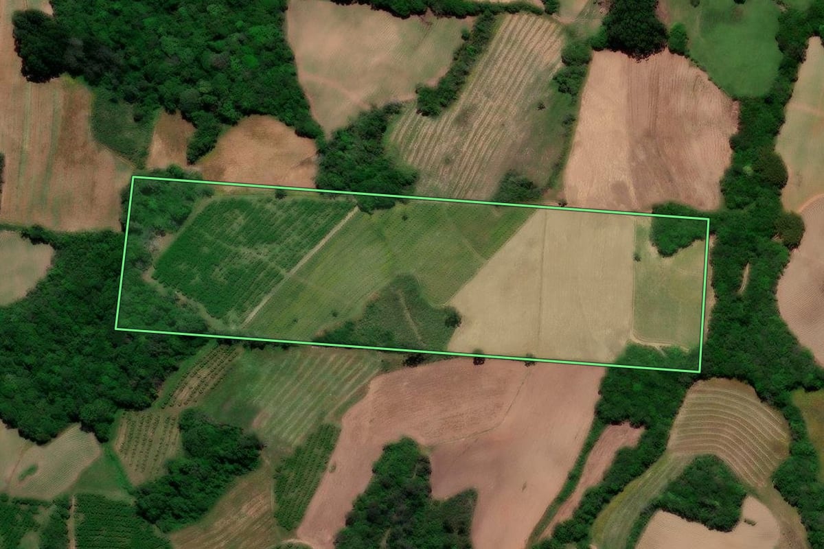 Imagem de satélite do imóvel rural em Pelotas (RS), com o contorno declarado no CAR desenhado por cima.