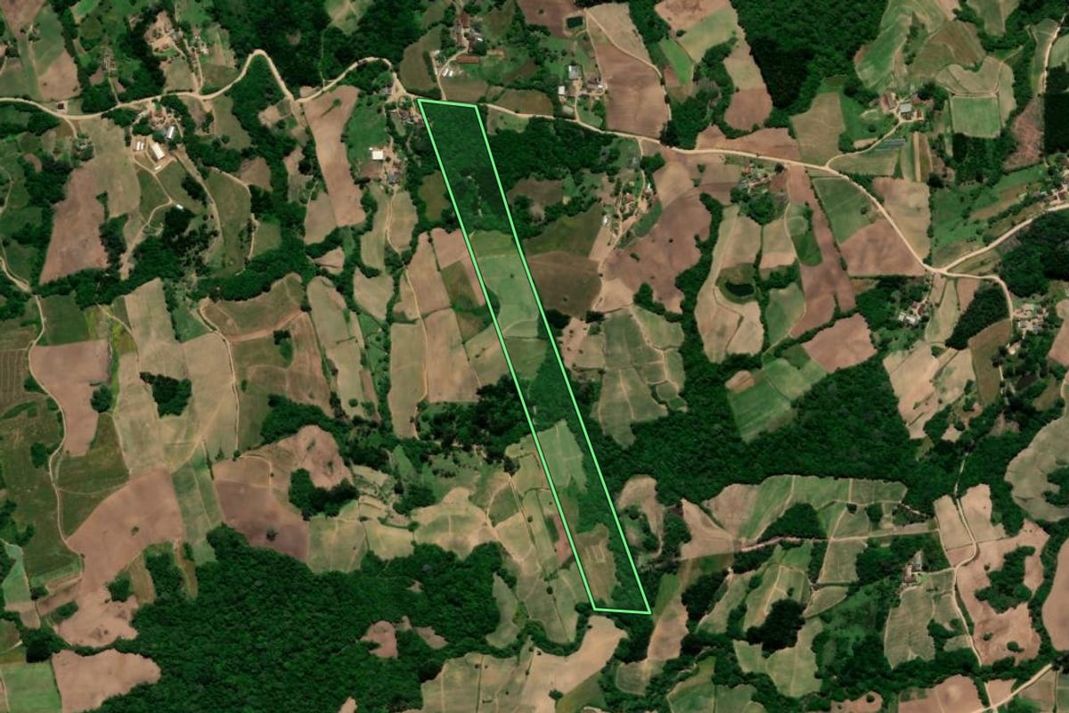 Imagem de satélite do imóvel rural em Pelotas (RS), com o contorno declarado no CAR desenhado por cima.