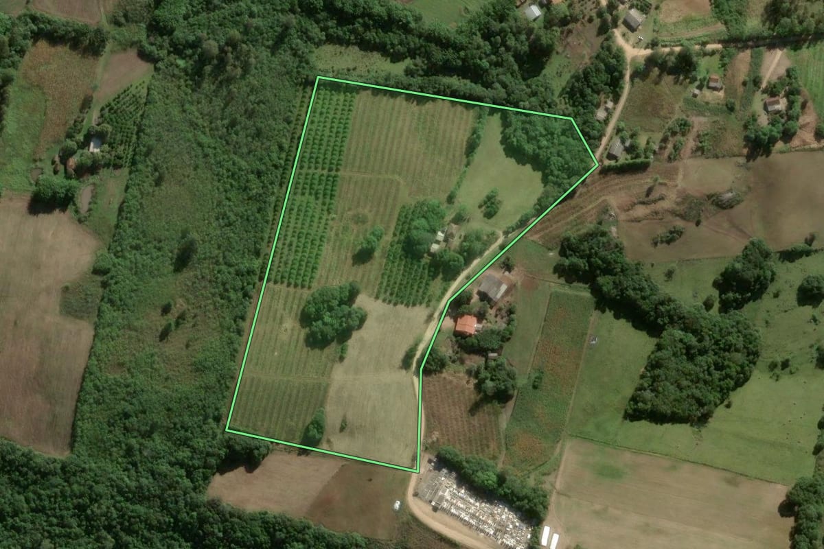 Imagem de satélite do imóvel rural em Pelotas (RS), com o contorno declarado no CAR desenhado por cima.
