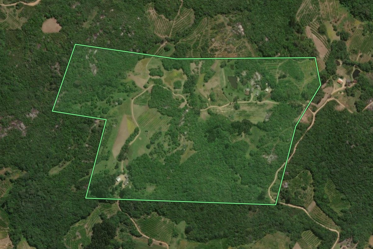 Imagem de satélite do imóvel rural em Pelotas (RS), com o contorno declarado no CAR desenhado por cima.