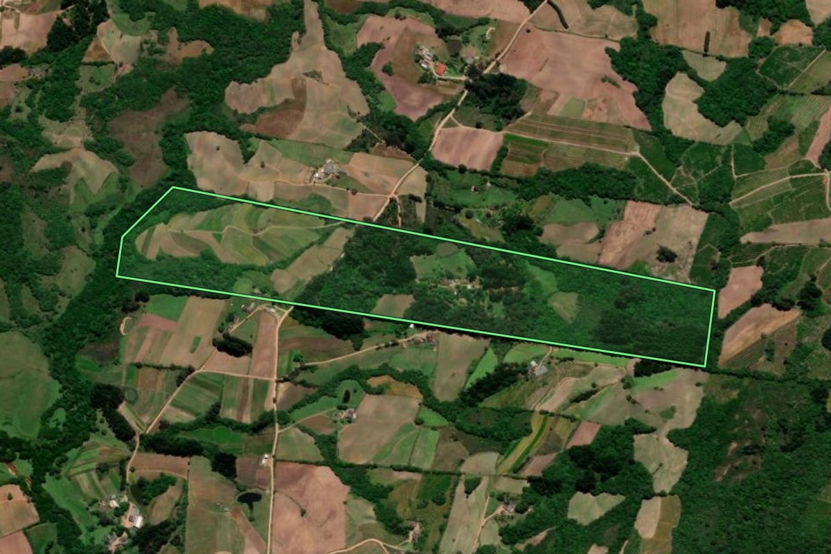 Imagem de satélite do imóvel rural em Pelotas (RS), com o contorno declarado no CAR desenhado por cima.