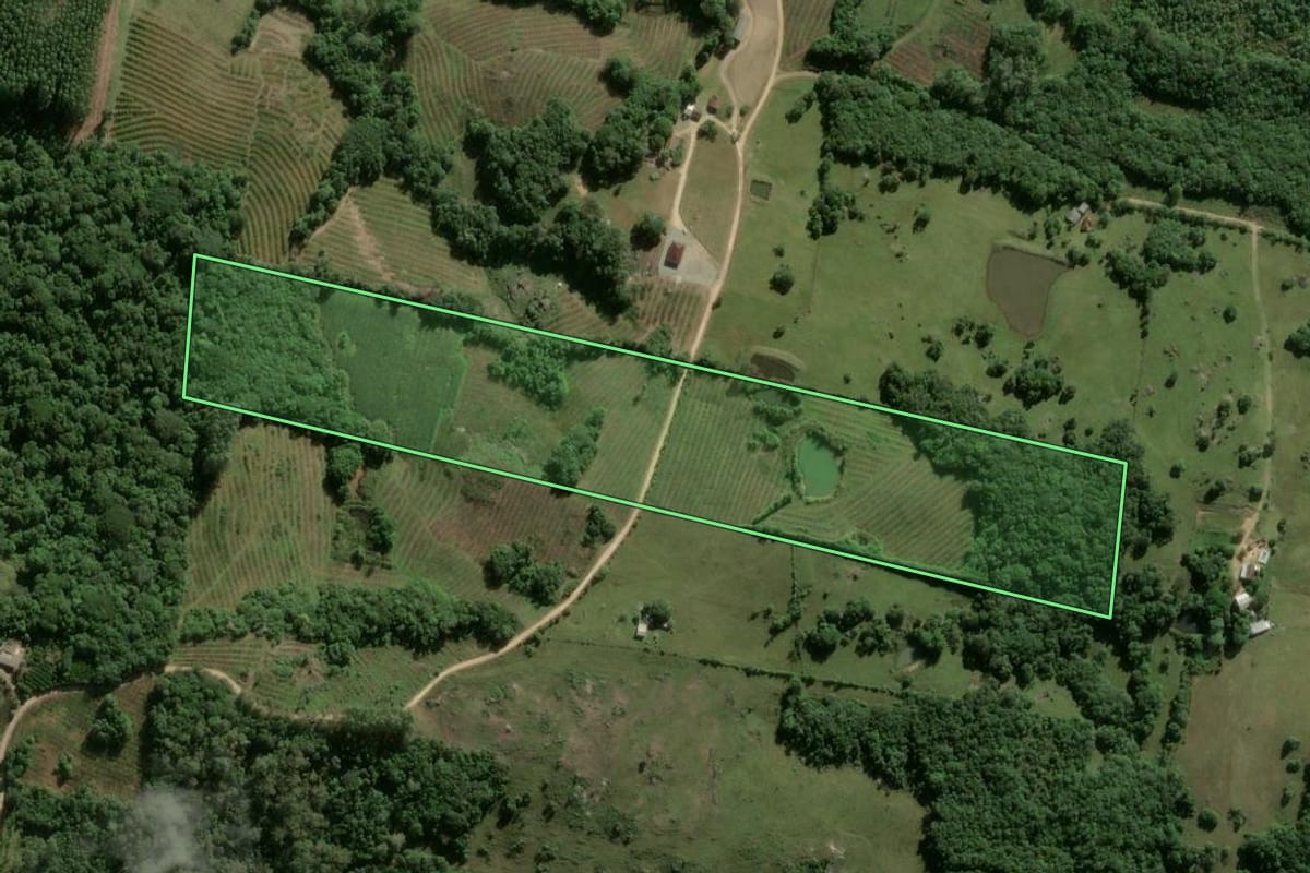 Imagem de satélite do imóvel rural em Pelotas (RS), com o contorno declarado no CAR desenhado por cima.