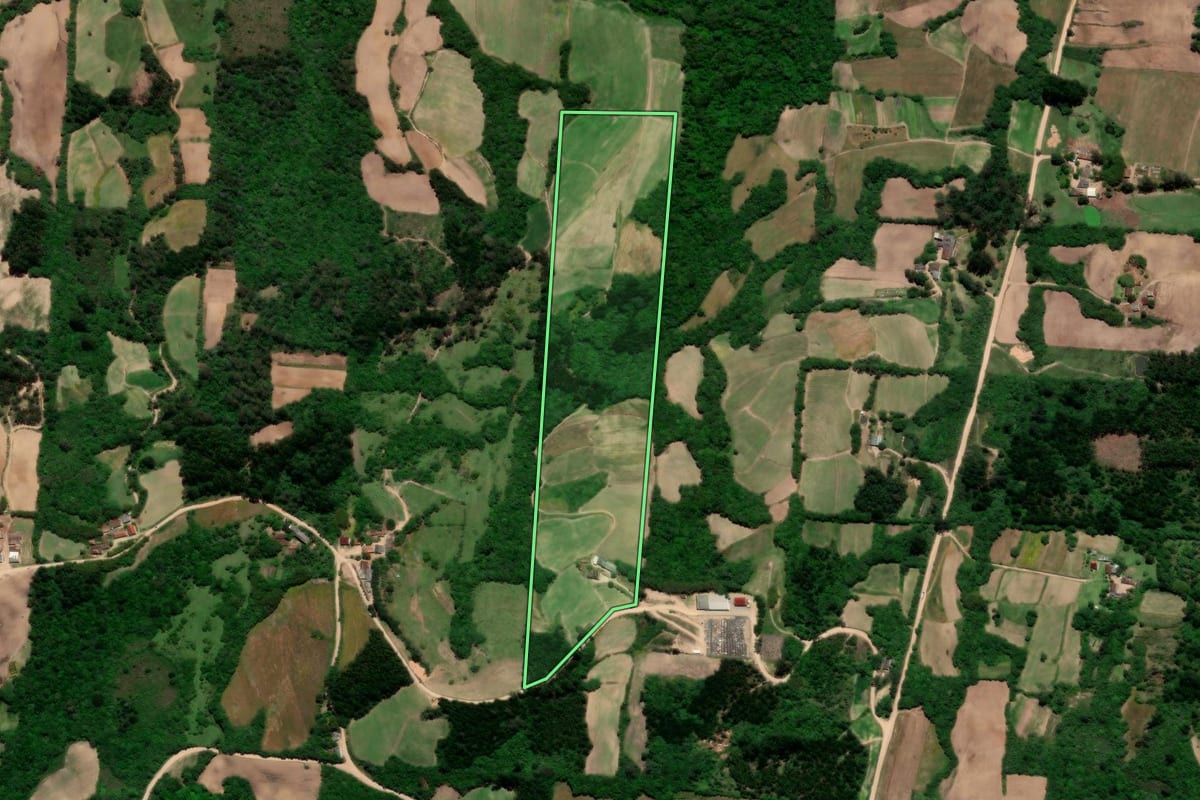 Imagem de satélite do imóvel rural em Pelotas (RS), com o contorno declarado no CAR desenhado por cima.