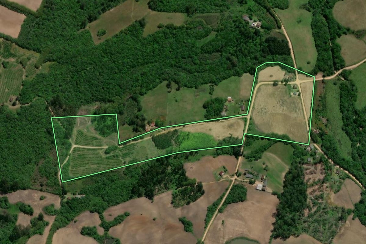 Imagem de satélite do imóvel rural em Pelotas (RS), com o contorno declarado no CAR desenhado por cima.