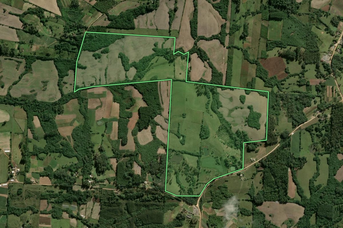 Imagem de satélite do imóvel rural em Pelotas (RS), com o contorno declarado no CAR desenhado por cima.