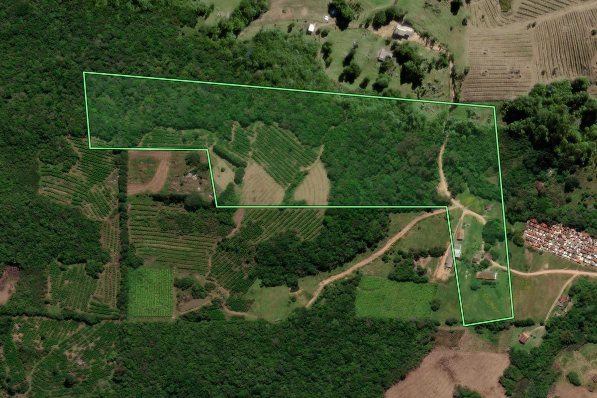 Imagem de satélite do imóvel rural em Pelotas (RS), com o contorno declarado no CAR desenhado por cima.