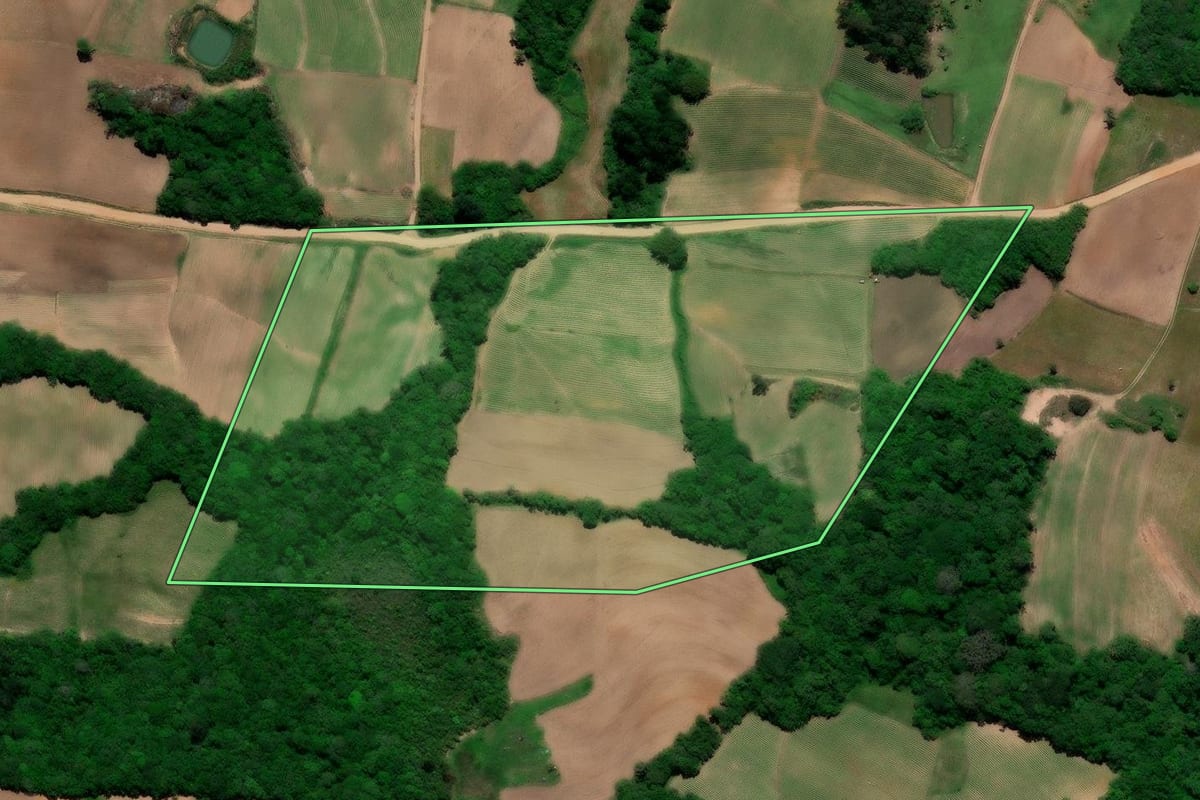 Imagem de satélite do imóvel rural em Pelotas (RS), com o contorno declarado no CAR desenhado por cima.