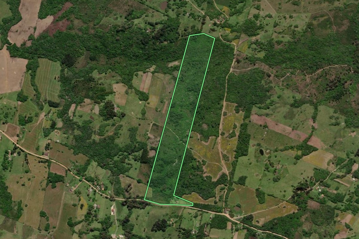 Imagem de satélite do imóvel rural em Pelotas (RS), com o contorno declarado no CAR desenhado por cima.