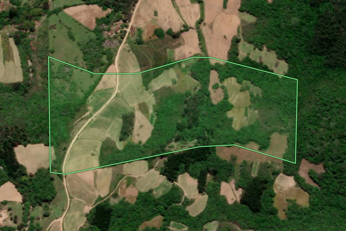 Imagem de satélite do imóvel rural em Pelotas (RS), com o contorno declarado no CAR desenhado por cima.