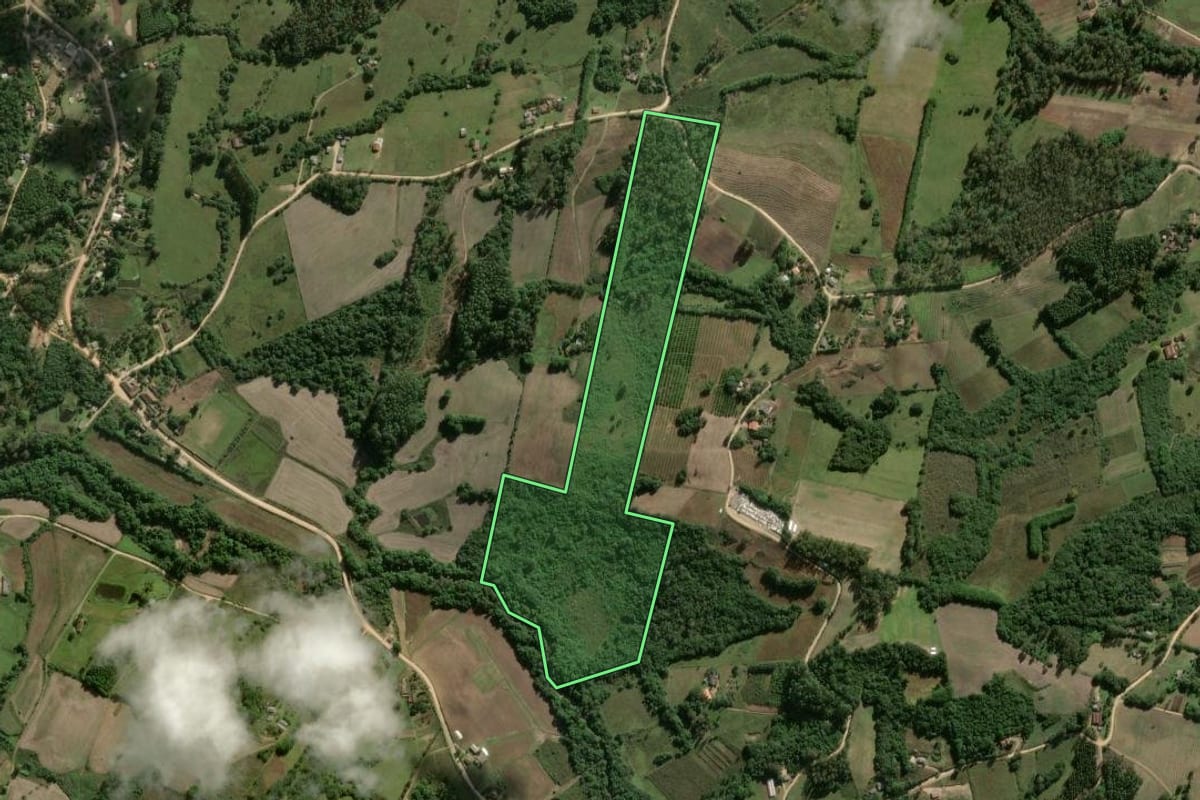 Imagem de satélite do imóvel rural em Pelotas (RS), com o contorno declarado no CAR desenhado por cima.